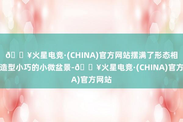 🔥火星电竞·(CHINA)官方网站摆满了形态相反、造型小巧的小微盆景-🔥火星电竞·(CHINA)官方网站