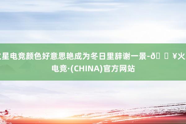 火星电竞颜色好意思艳成为冬日里辞谢一景-🔥火星电竞·(CHINA)官方网站