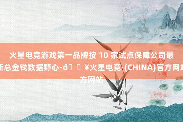 火星电竞游戏第一品牌按 10 家试点保障公司最新总金钱数据野心-🔥火星电竞·(CHINA)官方网站