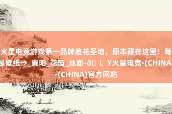 火星电竞游戏第一品牌追花圣地，原本藏在这里！每一帧王人是壁纸→_襄阳_花瓣_地面-🔥火星电竞·(CHINA)官方网站