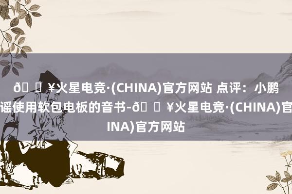 🔥火星电竞·(CHINA)官方网站 点评：小鹏汽车辟谣使用软包电板的音书-🔥火星电竞·(CHINA)官方网站