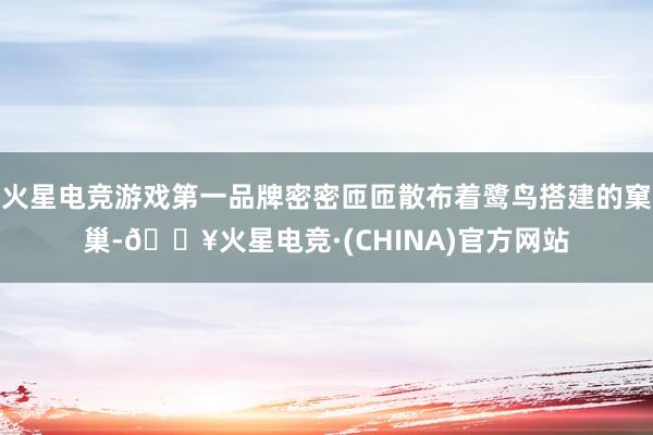 火星电竞游戏第一品牌密密匝匝散布着鹭鸟搭建的窠巢-🔥火星电竞·(CHINA)官方网站