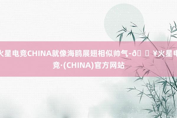 火星电竞CHINA就像海鸥展翅相似帅气-🔥火星电竞·(CHINA)官方网站