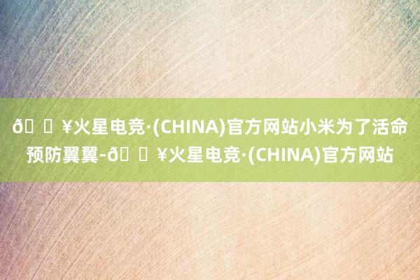 🔥火星电竞·(CHINA)官方网站小米为了活命预防翼翼-🔥火星电竞·(CHINA)官方网站